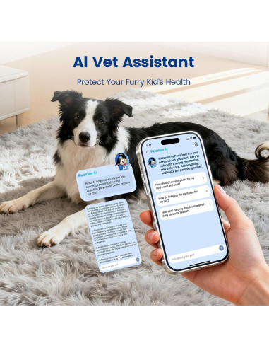 Etiqueta QR Inteligente PawView para Mascotas - Protección y Salud