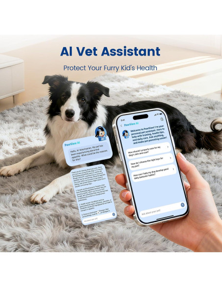 Etiqueta QR Inteligente PawView para Mascotas - Protección y Salud