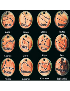 12 Moldes de Silicona para Joyería Zodiacal JEVLON - DIY 2