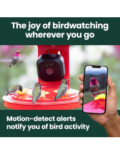 Alimentador de Colibríes Inteligente Perky-Pet con Cámara HD 20 oz 2