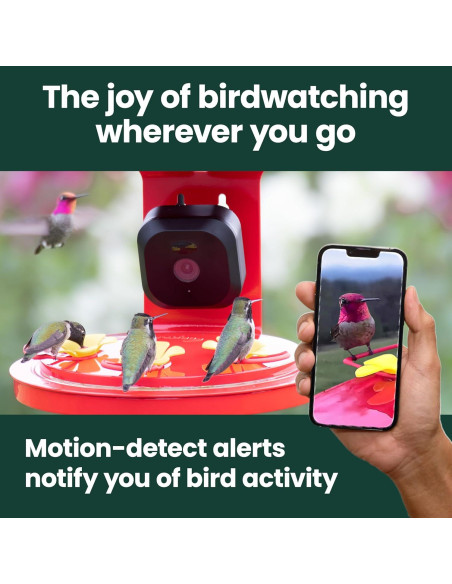 Alimentador de Colibríes Inteligente Perky-Pet con Cámara HD 20 oz