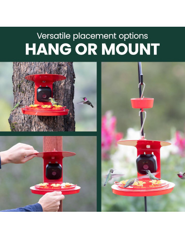 Alimentador de Colibríes Inteligente Perky-Pet con Cámara HD 20 oz