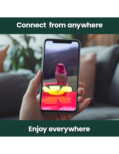 Alimentador de Colibríes Inteligente Perky-Pet con Cámara HD 20 oz