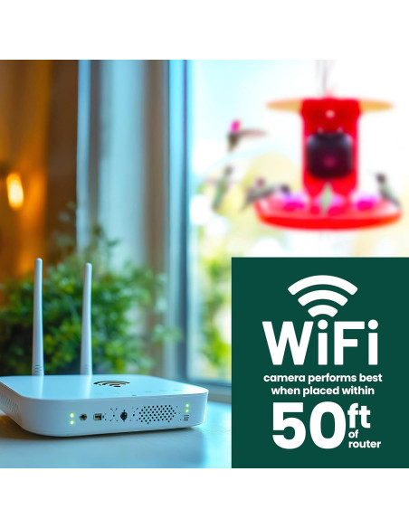 Alimentador de Colibríes Inteligente Perky-Pet con Cámara HD 20 oz