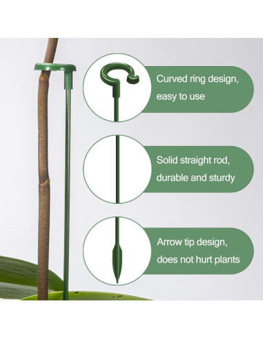 Soportes para Plantas LUCKJUJU 30 Pcs 37cm 27cm 17cm Clips