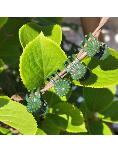 Soportes para Plantas LUCKJUJU 30 Pcs 37cm 27cm 17cm Clips