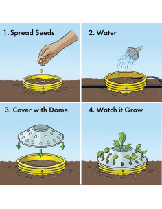 Kit de Jardín de Girasoles Rooted Promise - Cultiva 2.13 a 3.66 m 2