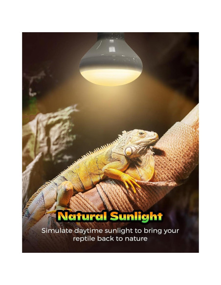 Lámpara de Calor para Reptiles Haceryc 100W - Paquete de 2