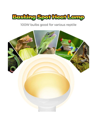 Lámpara de Calor para Reptiles Haceryc 100W - Paquete de 2