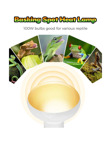 Lámpara de Calor para Reptiles Haceryc 100W - Paquete de 2