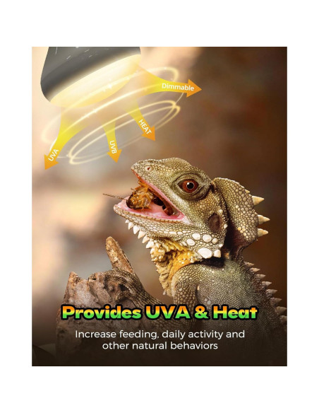 Lámpara de Calor para Reptiles Haceryc 100W - Paquete de 2