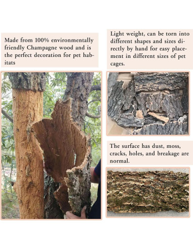 Fondo de Corteza de Corcho Tfwadmx 2Pcs 40x30cm para Reptiles