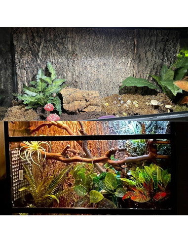 Fondo de Corteza de Corcho Tfwadmx 2Pcs 40x30cm para Reptiles