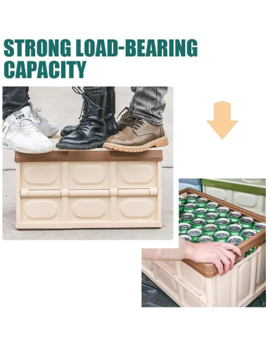 Organizador de Maletero Plegable CAGRPL Azul 53x36x29 cm