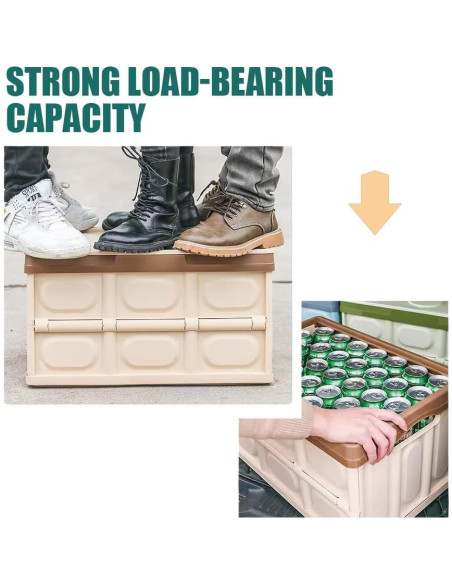 Organizador de Maletero Plegable CAGRPL Azul 53x36x29 cm