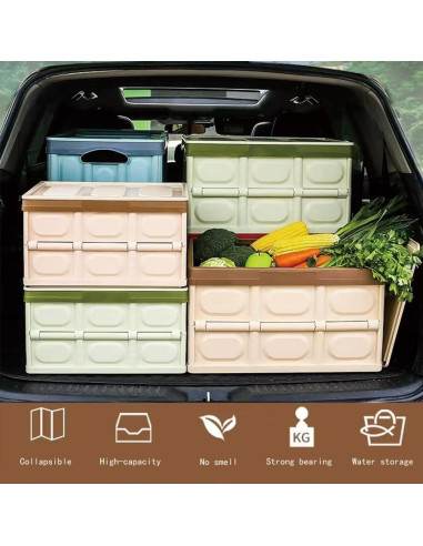 Organizador de Maletero Plegable CAGRPL Azul 53x36x29 cm