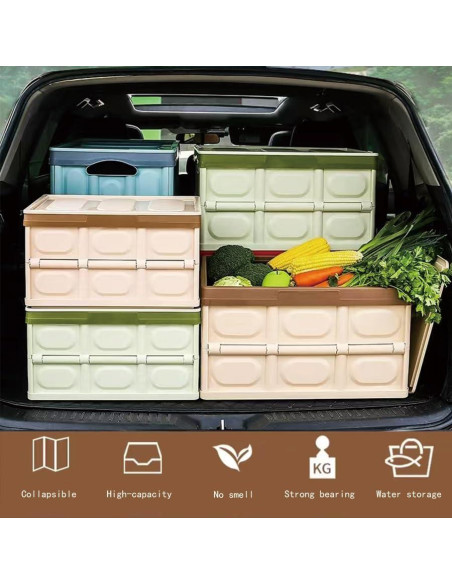 Organizador de Maletero Plegable CAGRPL Azul 53x36x29 cm