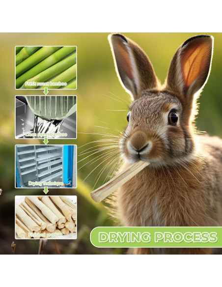 Juguete de Masticar de Bambú Natural WYOMER 445g para Mascotas