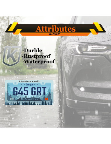 Marco de Placa de Licencia KDQEP LPF Acero Inoxidable 31.2x16 cm