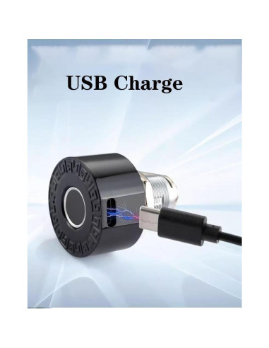 Cerradura de gabinete biométrica Lelukee con huella dactilar