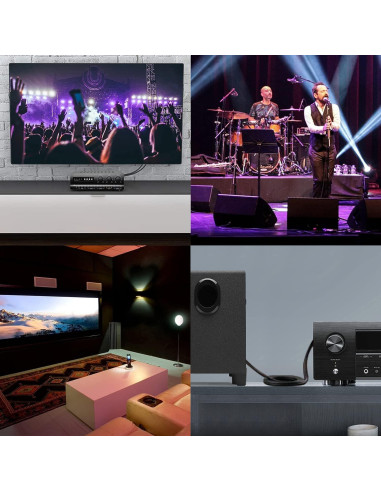 Interruptor RCA Bi-Direccional Y.D.F 4 en 2 Salidas Estéreo