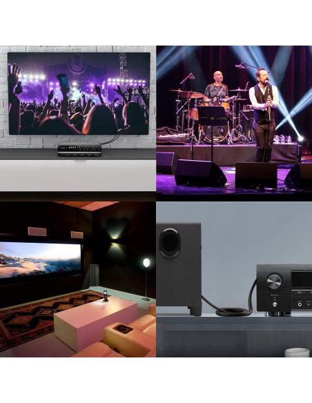 Interruptor RCA Bi-Direccional Y.D.F 4 en 2 Salidas Estéreo