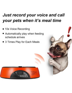 Alimentador Automático Programable Qpets AF-108 para Mascotas 2