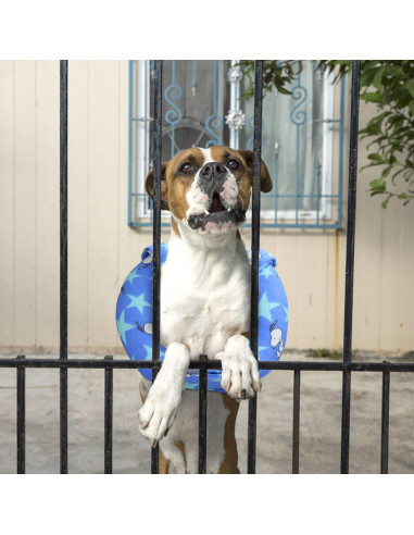 Collar de Seguridad para Perros Yuyuso - Previene Escapes 21.6 cm