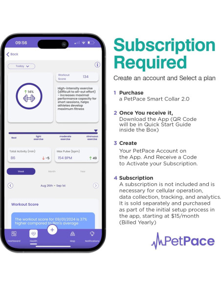 Collar Inteligente PetPace 2.0 Pequeño - Monitoreo Salud Canina