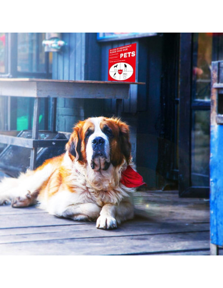 Pegatinas de Alerta para Mascotas Besttile 8 Pcs 10x11 cm