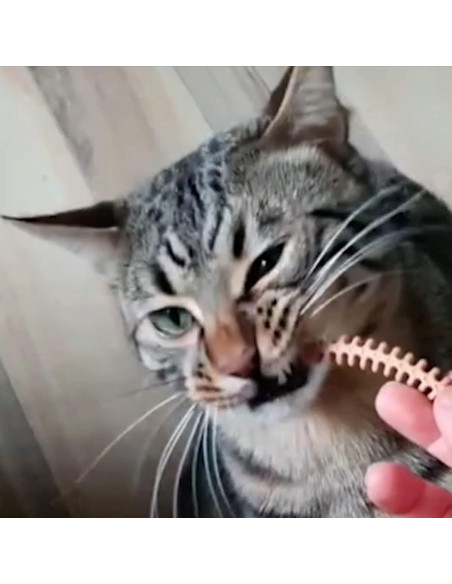 Golosinas Dentales para Gatos Dr.Petra CATZZLE Sabor Salmón 177g