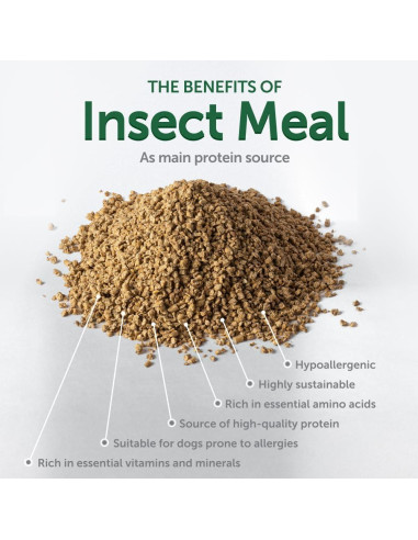 Golosinas para Perros Akvatera 150g - Cuidado Oral Insectos