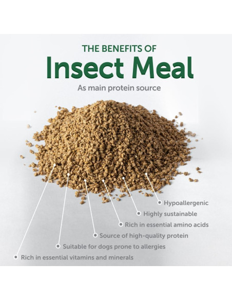 Golosinas para Perros Akvatera 150g - Cuidado Oral Insectos