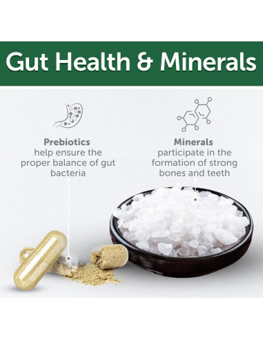 Golosinas para Perros Akvatera 150g - Cuidado Oral Insectos