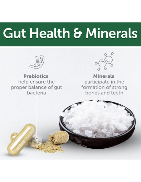 Golosinas para Perros Akvatera 150g - Cuidado Oral Insectos