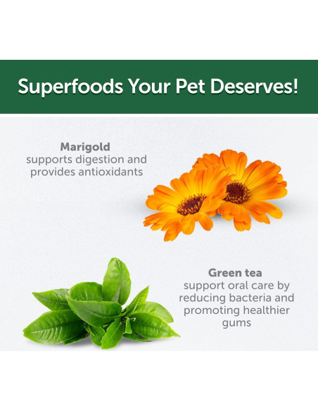 Golosinas para Perros Akvatera 150g - Cuidado Oral Insectos