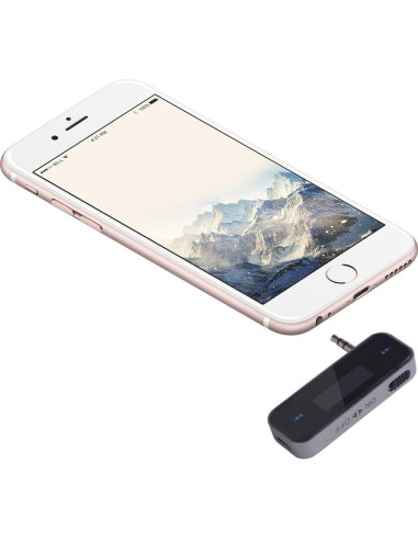 Transmisor de Audio FM Beinhome con Pantalla Digital y AUX