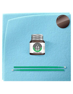 Pintura Automotriz ERA - SAM Perla Marrón Canela 7.39 ml