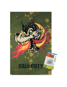 Póster de Pared Call of Duty Vanguard Trends 37.4x56.7cm Premium