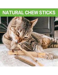 Juguetes para Gatos FOIMAS - 10 Piezas de Silvervine y Catnip 2