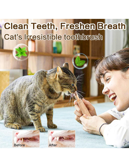 Juguetes para Gatos FOIMAS - 10 Piezas de Silvervine y Catnip