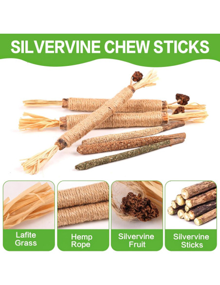 Juguetes para Gatos FOIMAS - 10 Piezas de Silvervine y Catnip