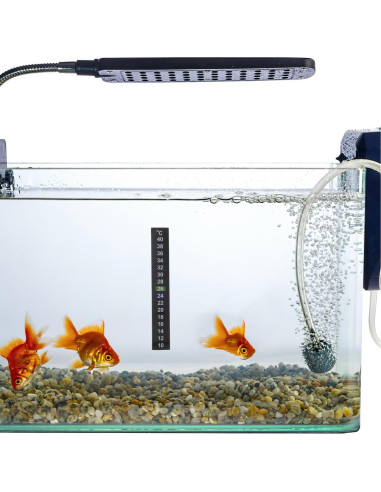 Cinta Termómetro Adhesiva Didiseaon 10 Pcs 10C a 40C