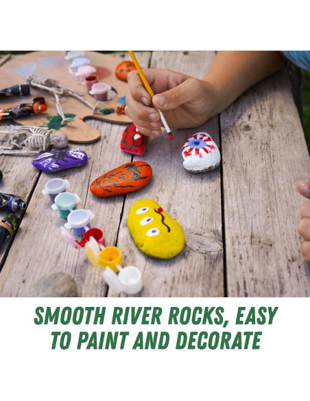 20 Rocas de Río para Pintar PGN - 5-10 cm - Creatividad Infantil