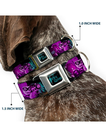 Collar de Perro Mediano Buckle-Down DC Comics Harley Quinn 3.81 cm