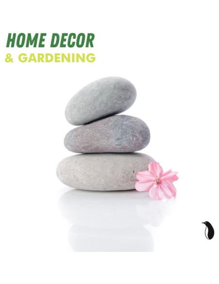 20 Rocas de Río para Pintar PGN - 5-10 cm - Creatividad Infantil