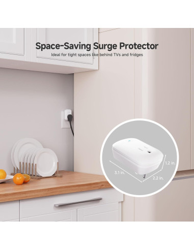 Protector de Sobretensión Cable Matters 1350J 1 Salida 500V