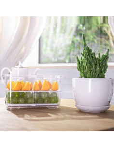 Caja de Almacenamiento Sellada SHOWERORO 23.3x14.7cm para Frutas y Verduras 2