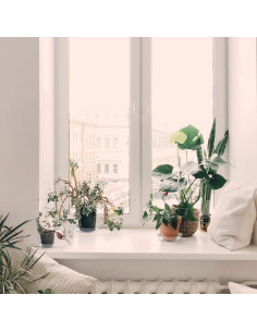 Plato para Plantas Rocutus 15.24 cm - Paquete de 20 Bandejas de Goteo 2