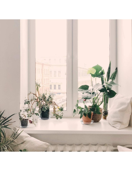 Plato para Plantas Rocutus 15.24 cm - Paquete de 20 Bandejas de Goteo